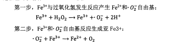 圖片文字說明