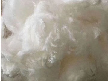 什么是溶解漿？